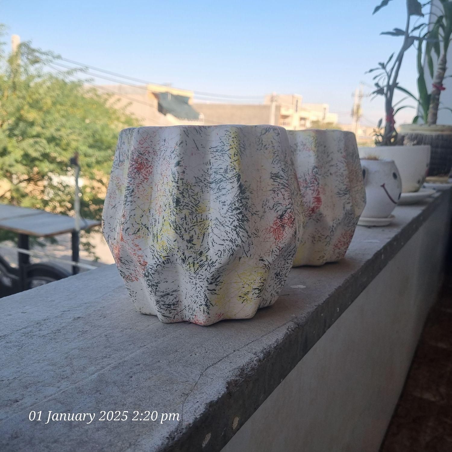 تعدادی گلدان|گل و گیاه طبیعی|اهواز, سیصد دستگاه|دیوار