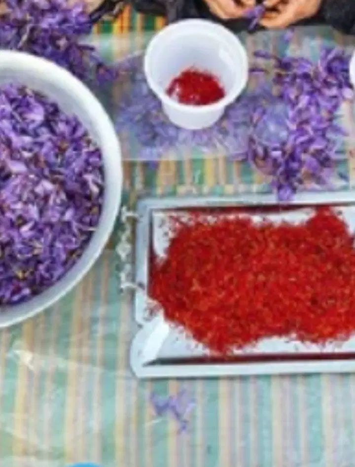 سرمایه گذاری و استخدام جهت بسته بندی زعفران|استخدام صنعتی، فنی، مهندسی|اهواز, پردیس|دیوار