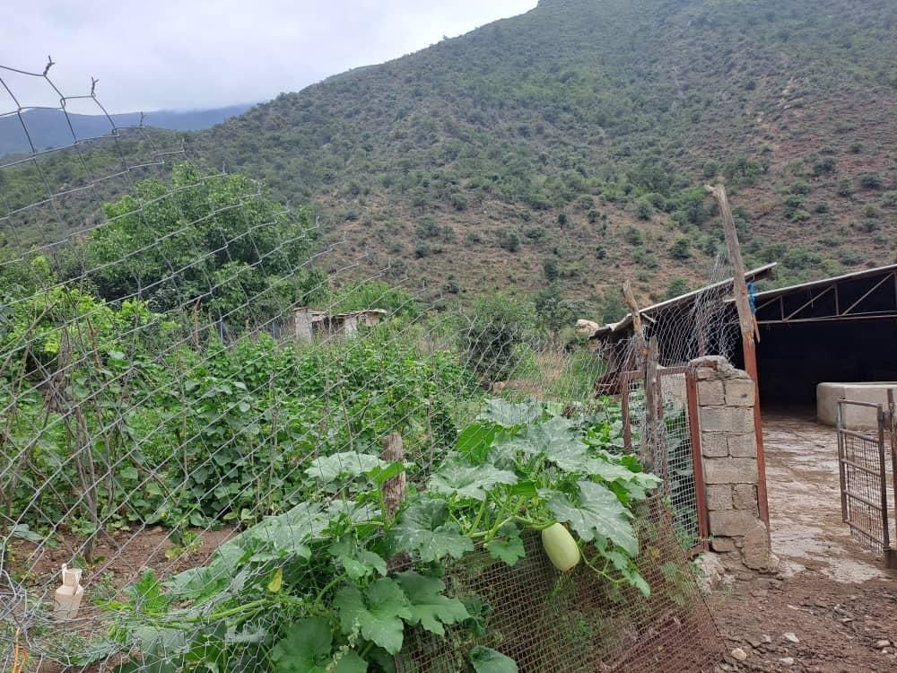 زمین باغی و دامداری مجوز دار|فروش دفتر صنعتی، کشاورزی، تجاری|گرگان, |دیوار