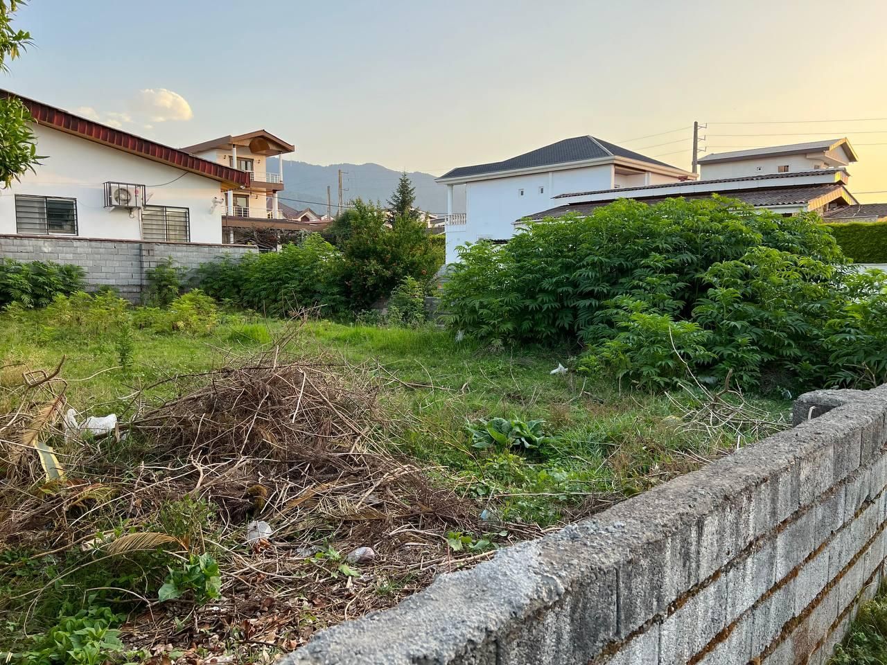 زمین متل قو شهرک دانیال ۲۴۱ متری|فروش زمین و ملک کلنگی|سلمانشهر, |دیوار