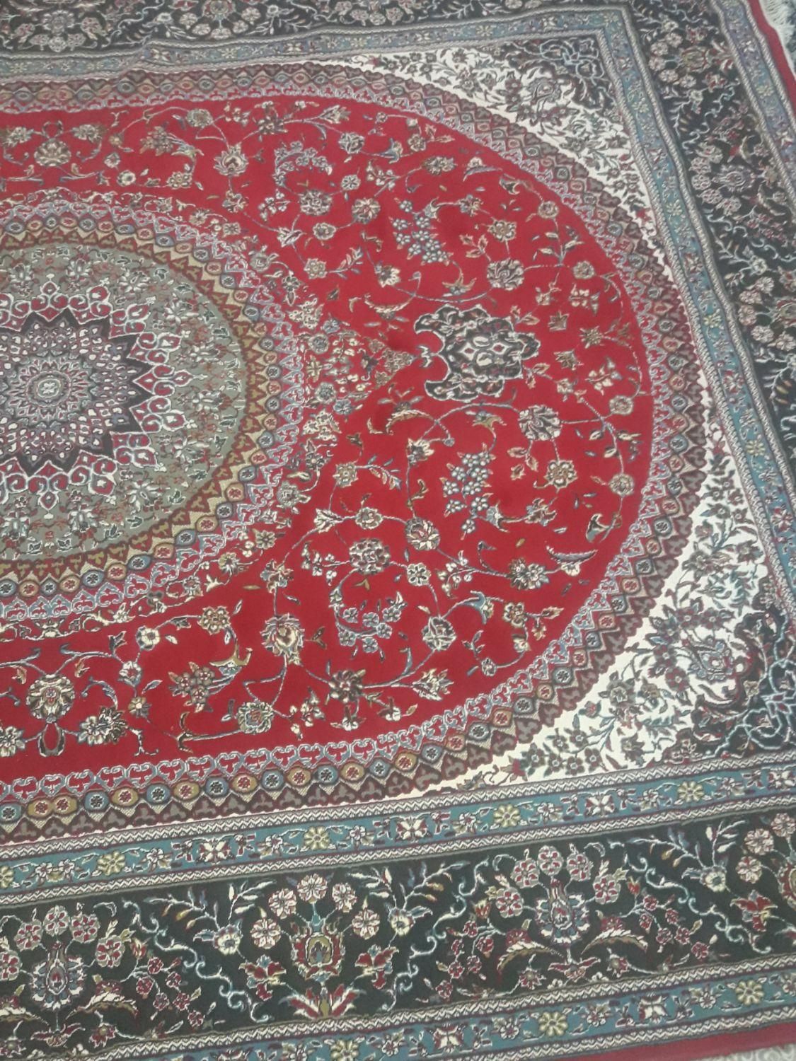 دو عدد قالی ۱۲متری|فرش|رفسنجان, |دیوار