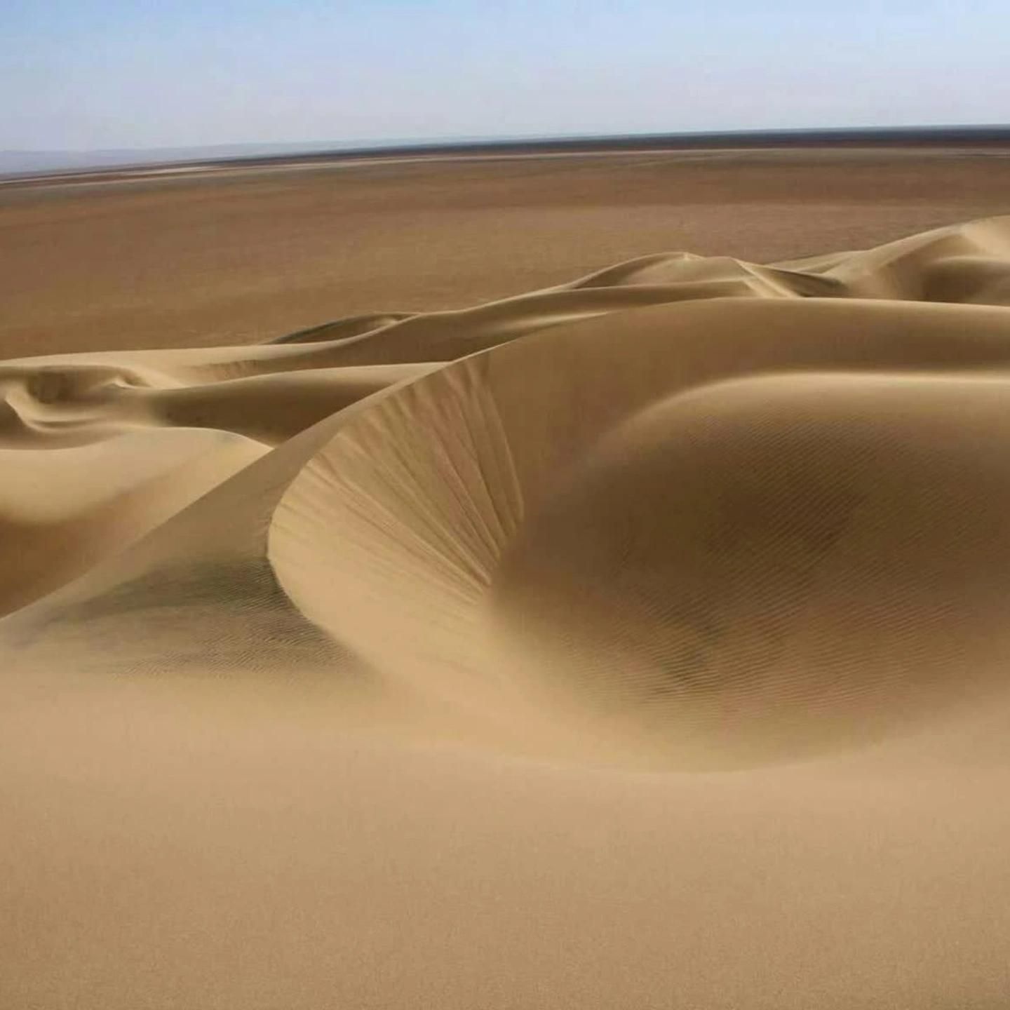 اقامت .کویر گردی.|تور و چارتر|کاشان, پارک لاله|دیوار