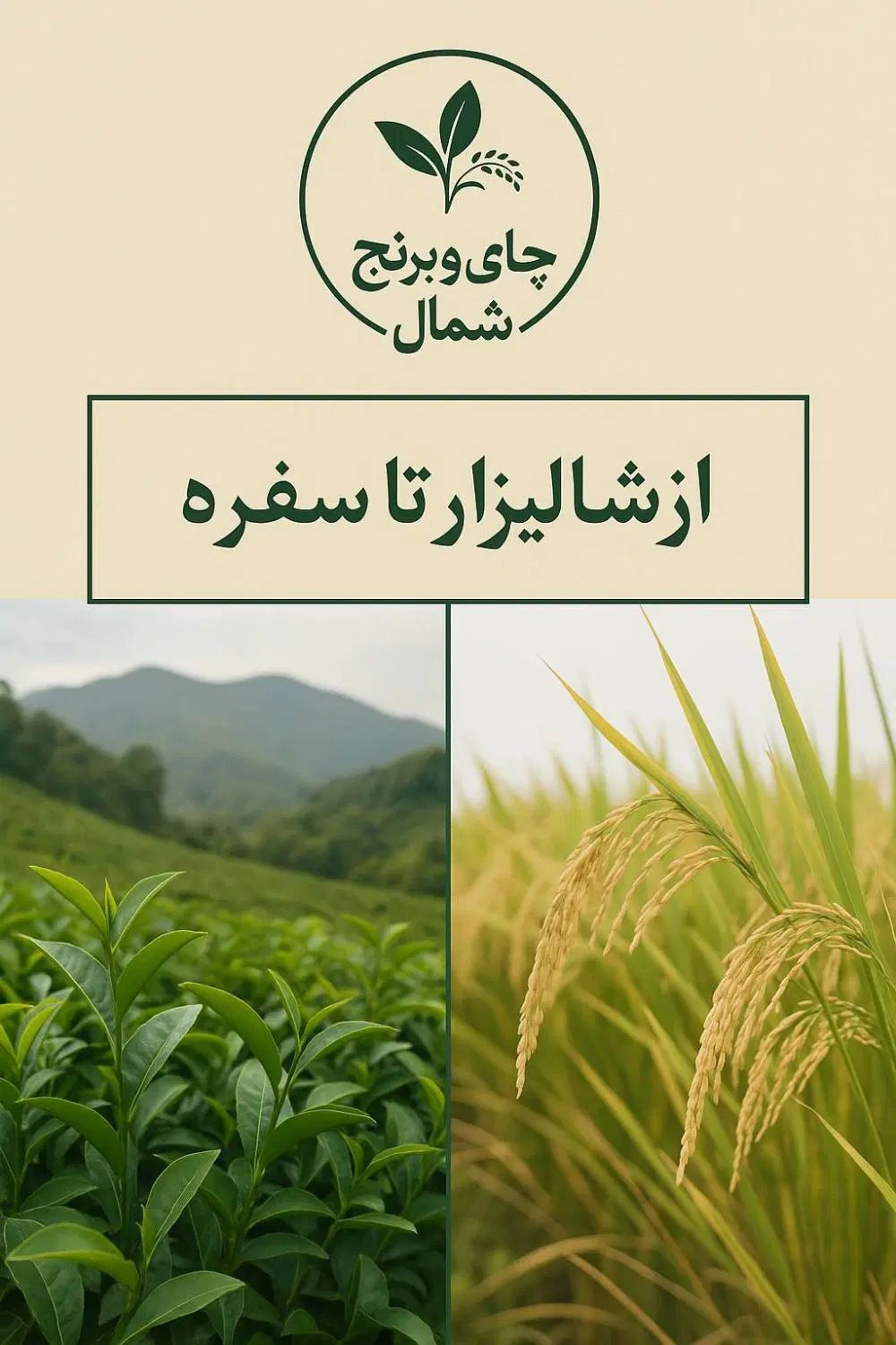 برنج  و لاشه طارم هاشمی|خوردنی و آشامیدنی|تهران, یاخجی آباد|دیوار