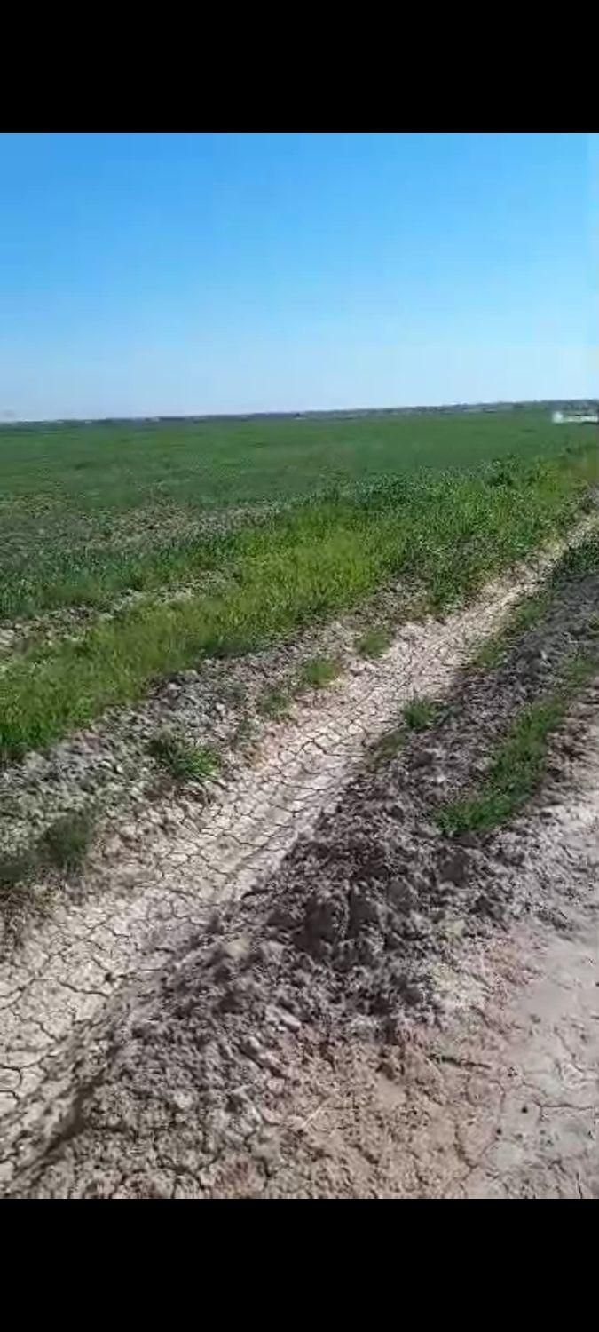 اجاره۱۲هکتارR1|اجارهٔ دفتر صنعتی، کشاورزی، تجاری|امیدیه, |دیوار