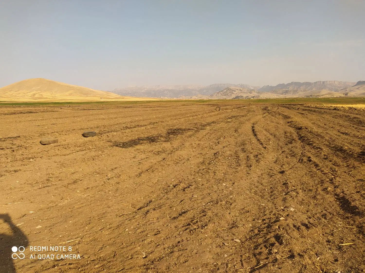 اجاره 14هکتار زمین کشاورزی سیستمی برای چغندرگندم|اجارهٔ دفتر صنعتی، کشاورزی، تجاری|سرپل ذهاب, |دیوار