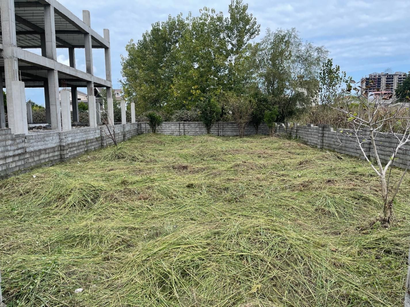 زمین سنددار شمالی جنوبی|فروش زمین و ملک کلنگی|هچیرود, |دیوار