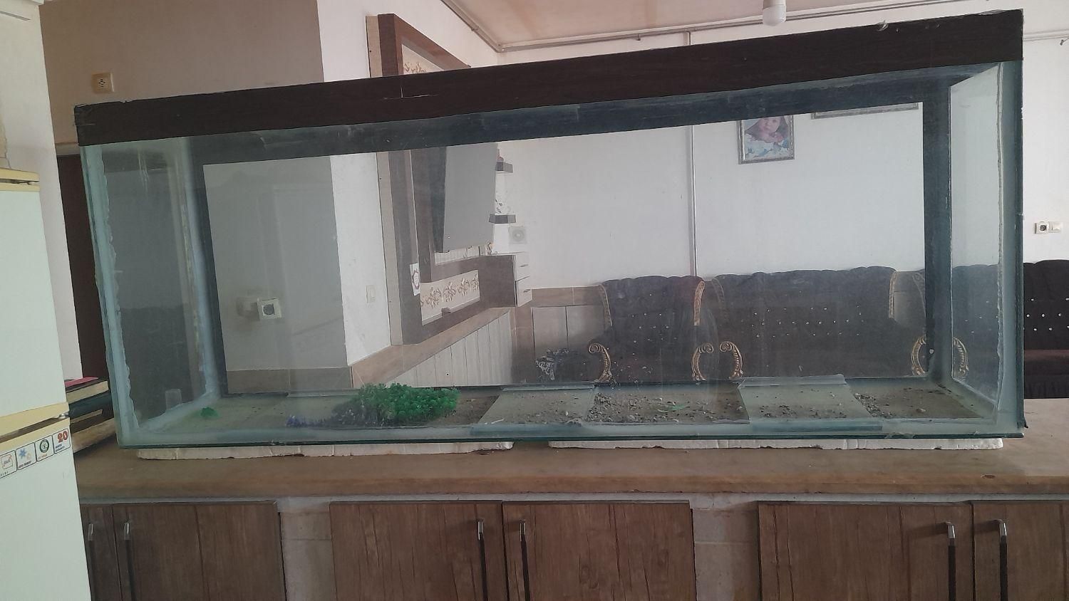 اکواریوم|ماهی|تربت‌حیدریه, ۴۵ متری|دیوار