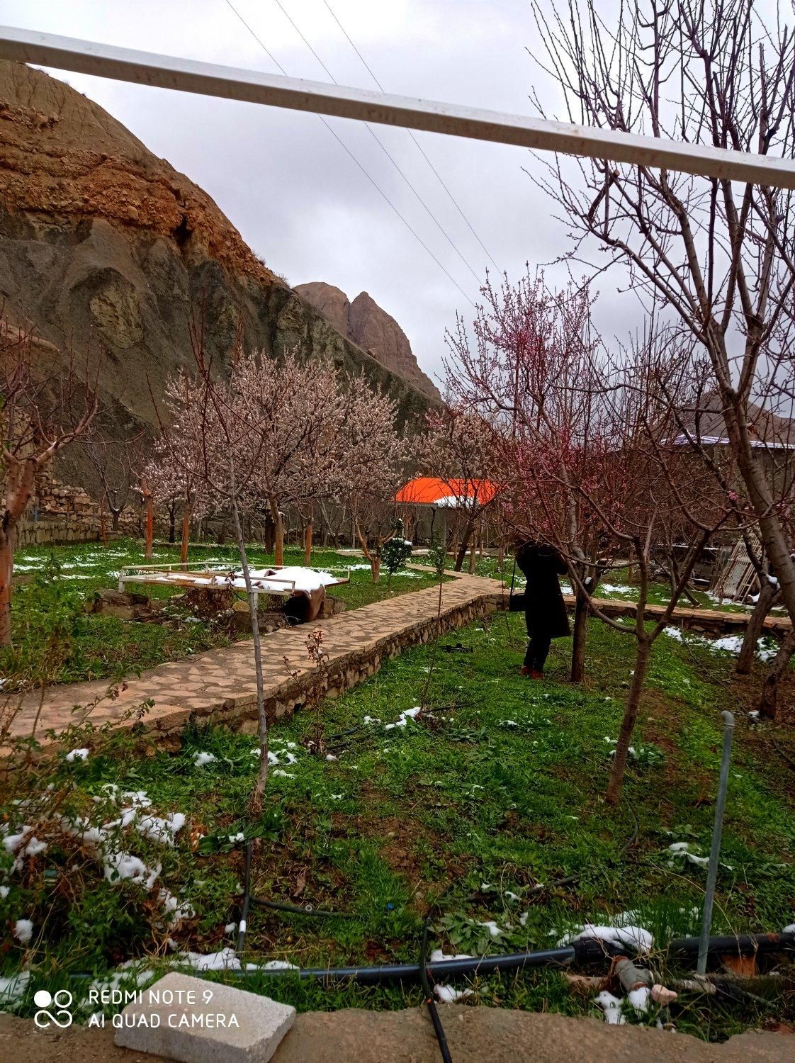 اجاره روزانه باغ اخلمد|اجارهٔ کوتاه‌مدت ویلا و باغ|چناران, |دیوار
