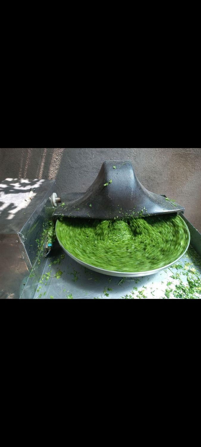 سبزی قورمه سبزی|خوردنی و آشامیدنی|تهران, بهاران|دیوار
