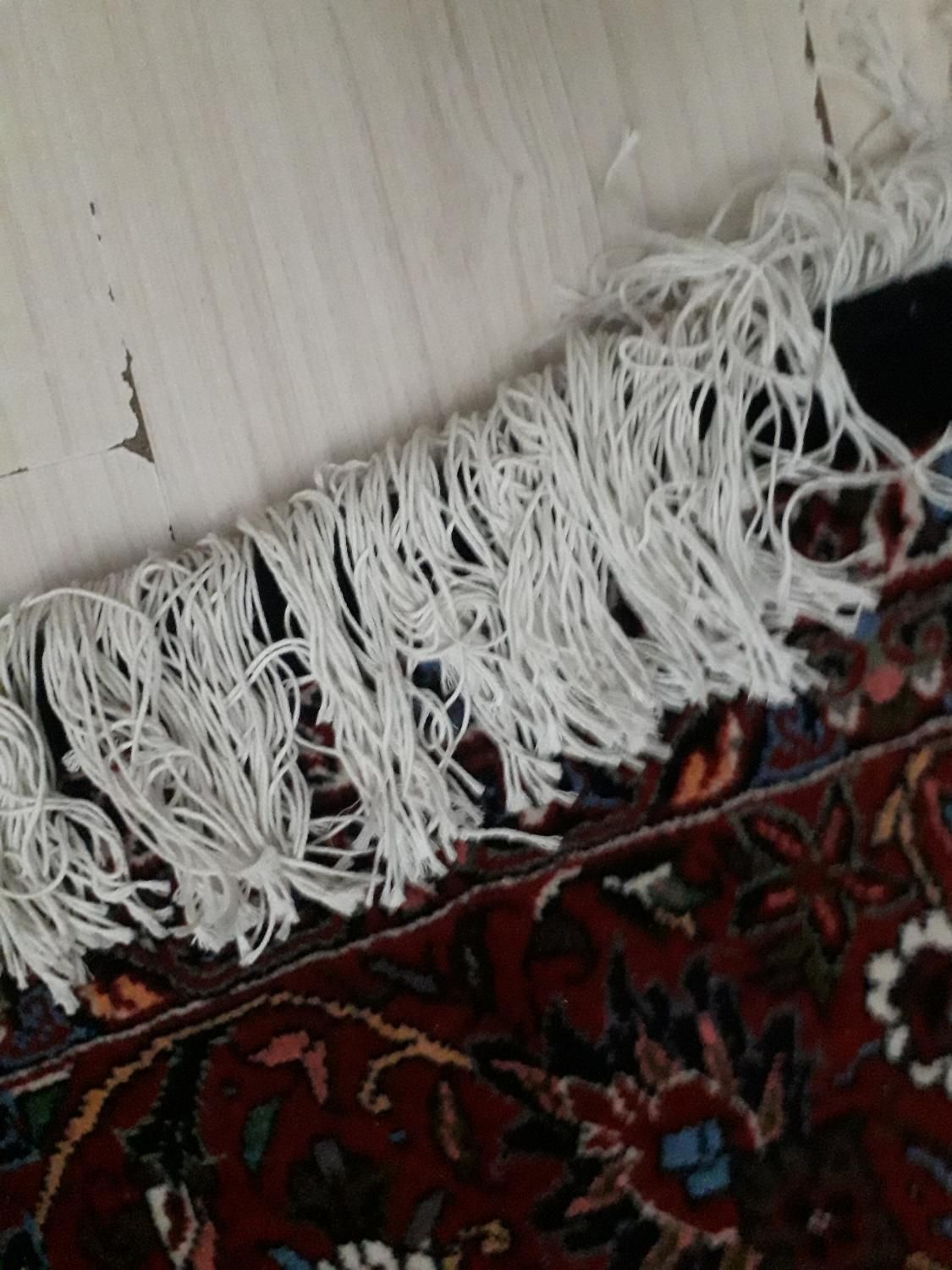 فرش دستباف بیجار|فرش|تهران, جمهوری|دیوار