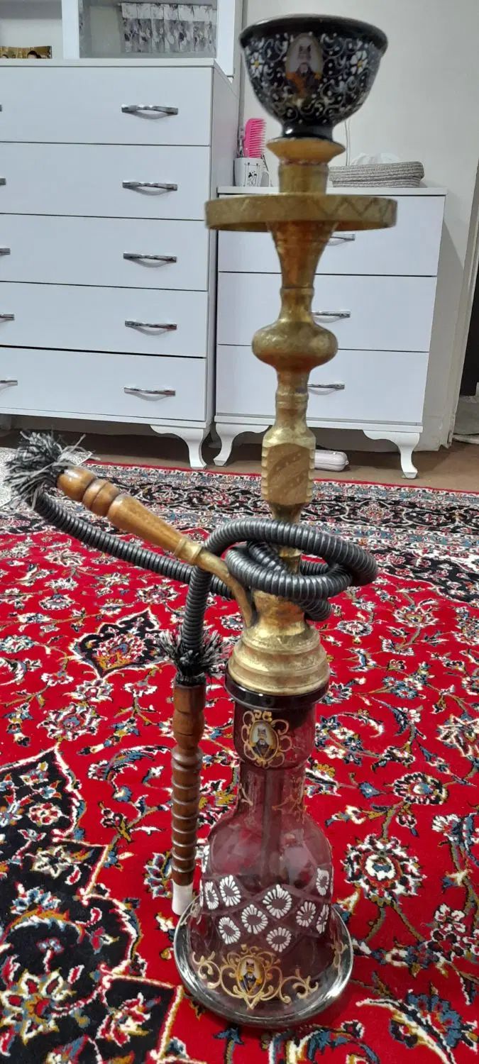 گرینچیک عروس هلندی طوطی برزیلی قناری سهره گلدین|پرنده|اسلام‌شهر, شهرک واوان|دیوار