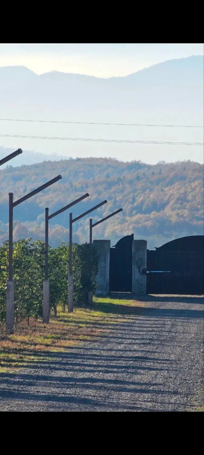 همین الان متری دو میلیون سود تو جیبته(فروش فوری)|فروش زمین و ملک کلنگی|نور, |دیوار