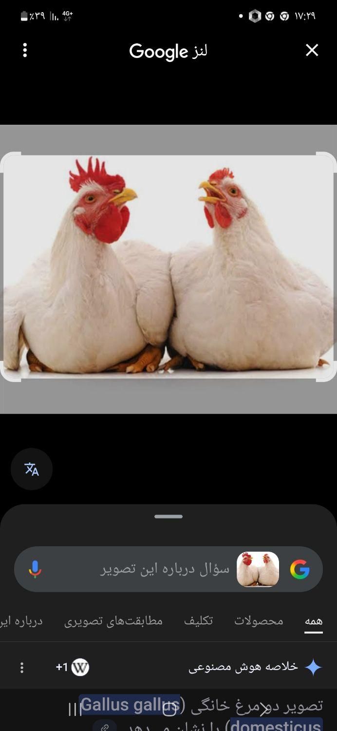 null