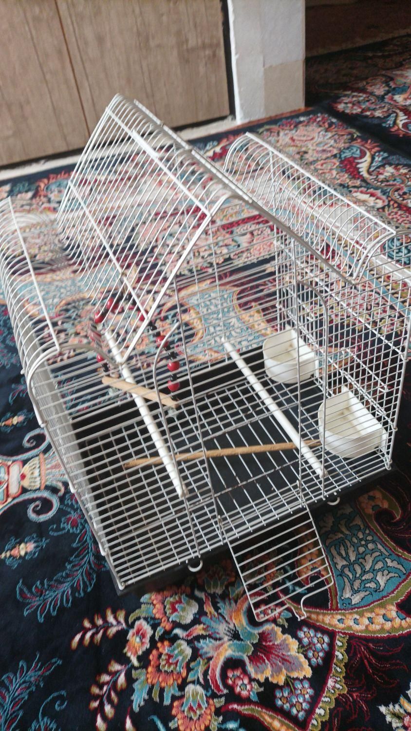 قفس پرنده سالم|لوازم جانبی حیوانات|قم, اسمعیل آباد|دیوار