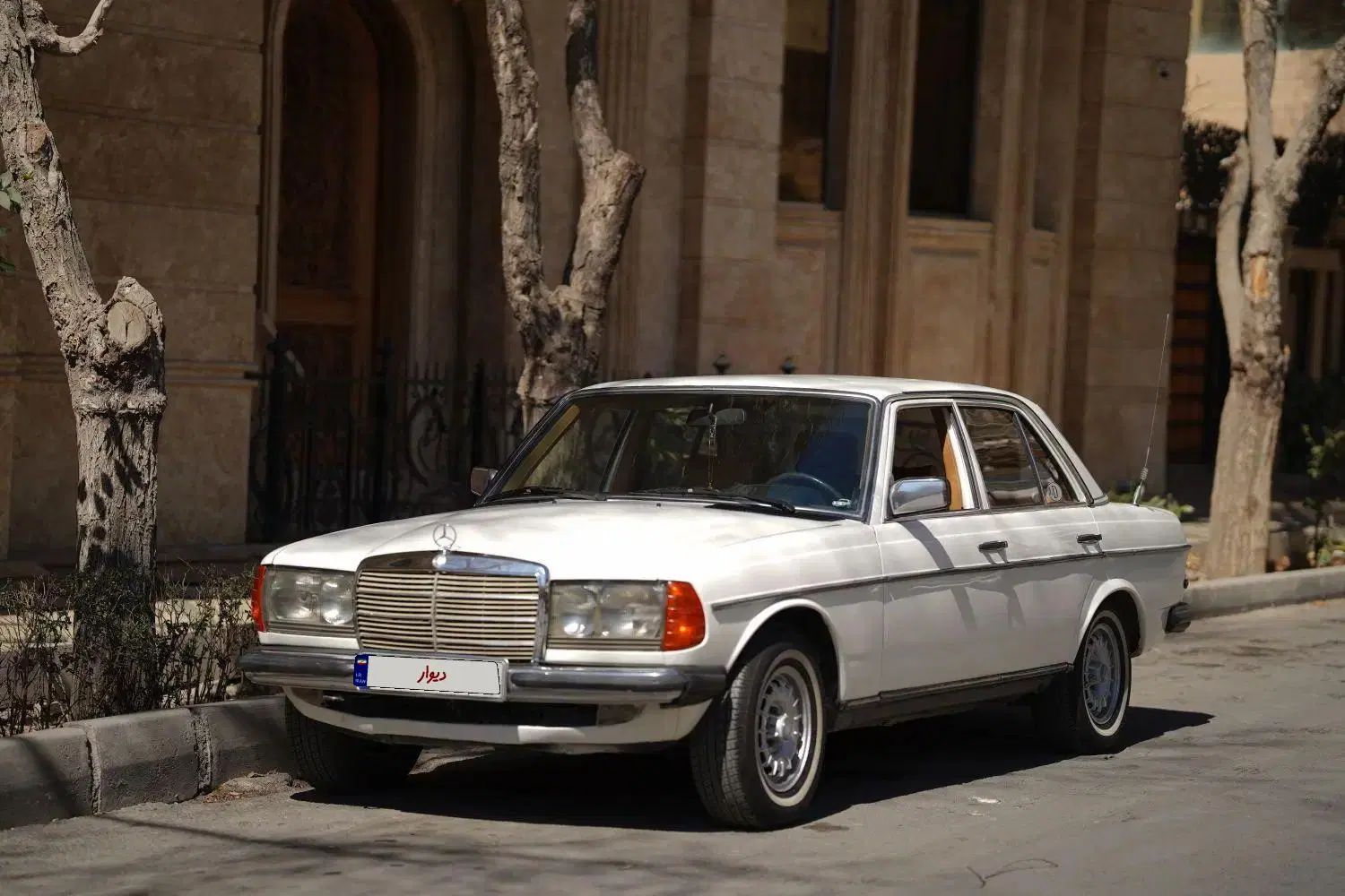 بنز دانشجویی (w123) موتور مشکی1980|خودرو کلاسیک|اصفهان, کشاورزی|دیوار