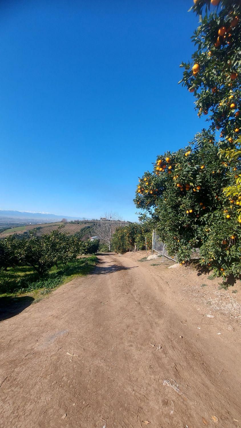 زمین دو نبش با چشم انداز ابدی|فروش زمین و ملک کلنگی|ارطه, |دیوار