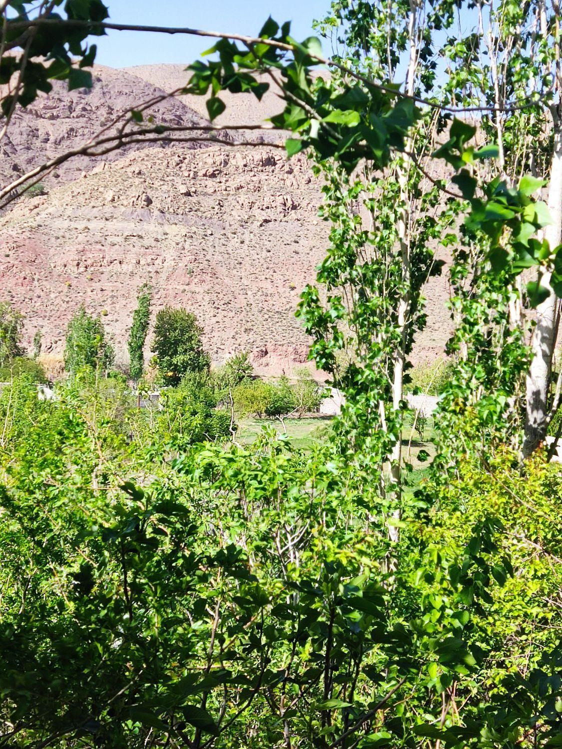 اجاره روزانه ویلا استخر دار در کوهپایه|اجارهٔ کوتاهمدت ویلا و باغ|کرمان, |دیوار