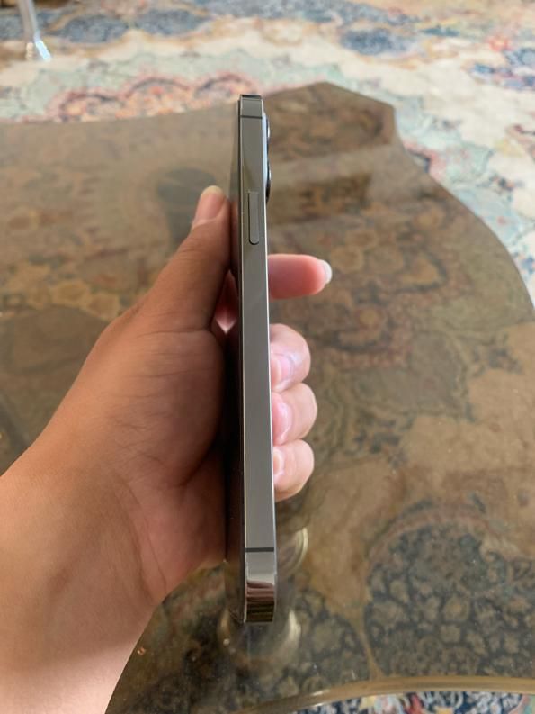اپل iPhone 12 Pro Max با حافظهٔ ۲۵۶ گیگابایت|موبایل|اصفهان, بهارستان|دیوار