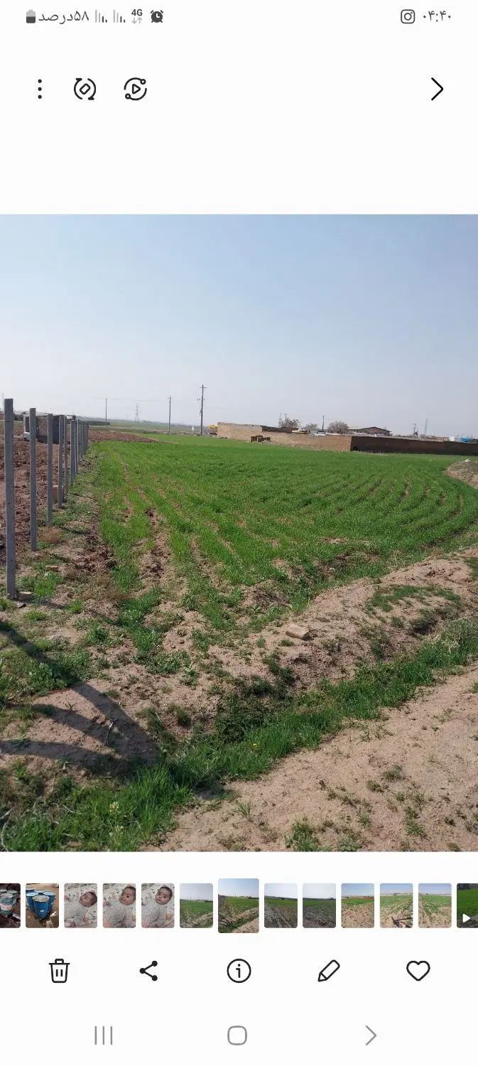 فروش زمین باغ و ویلایی ۱۶۰۰ متری در روستای آشنستان|فروش دفتر صنعتی، کشاورزی، تجاری|قزوین, |دیوار