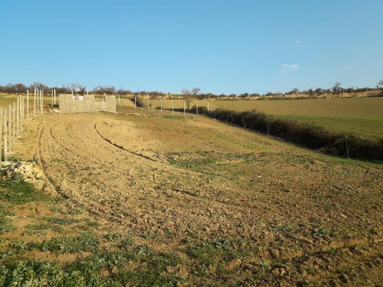 معاوضه وفروش زمین 1000متری بین توشن وگلند فخر آباد|فروش زمین و ملک کلنگی|گرگان, |دیوار
