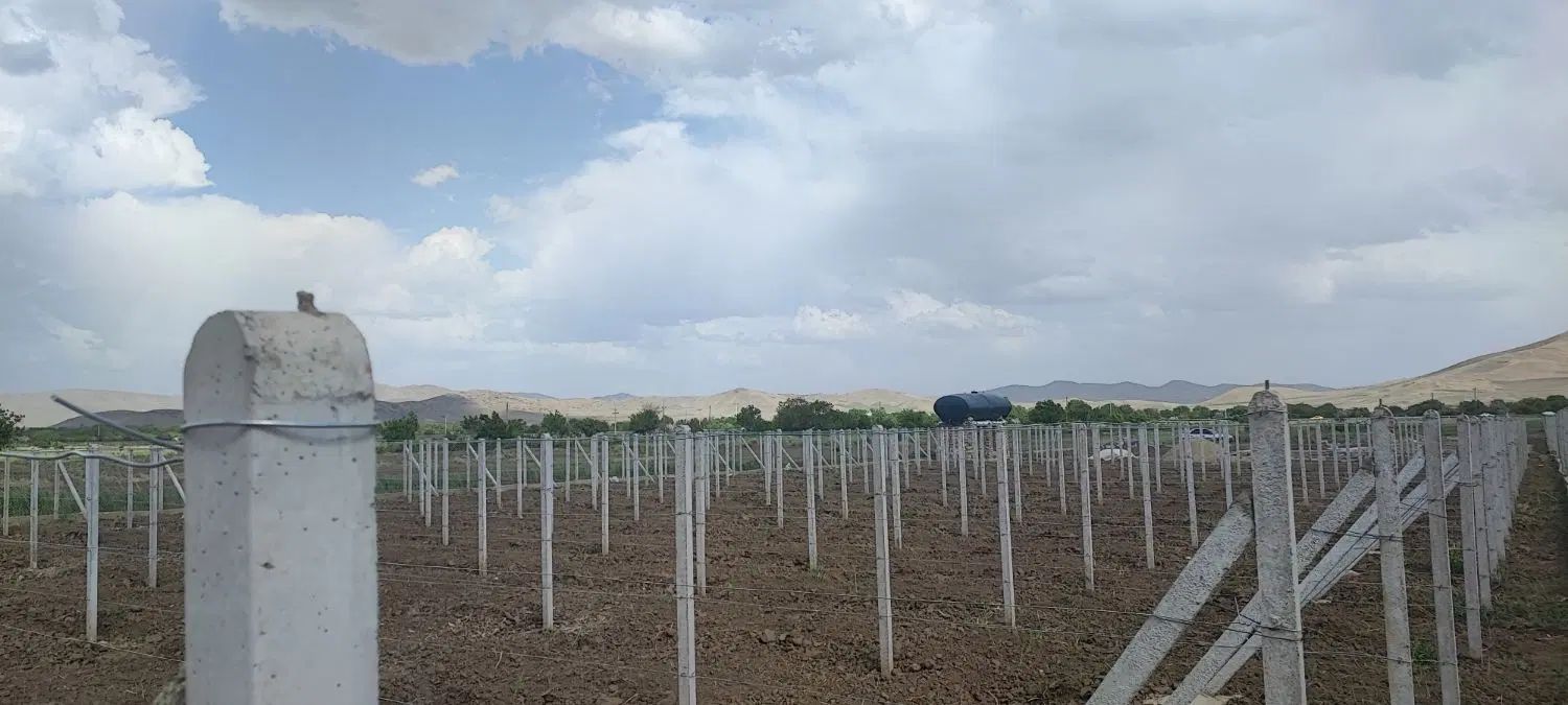 ///خدمات فنس کشی باغبانی دیوار کشی باغبانی|خدمات باغبانی و درختکاری|همدان, |دیوار