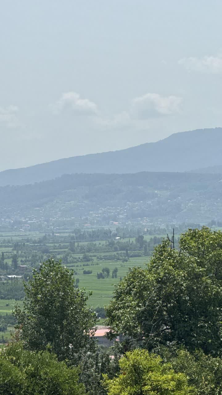 زمین ۳۰۰ متری ویودار در لوکیشن سریال پایتخت|فروش زمین و ملک کلنگی|بابل, |دیوار