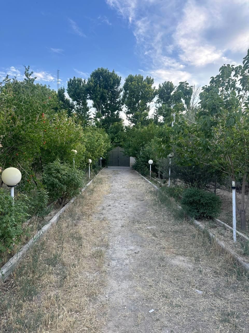 باغ ۷۲۰متری/سند۶دانگ/مناسب ساخت/خیابان پدم|فروش خانه و ویلا|محمدشهر, همایون ویلا|دیوار