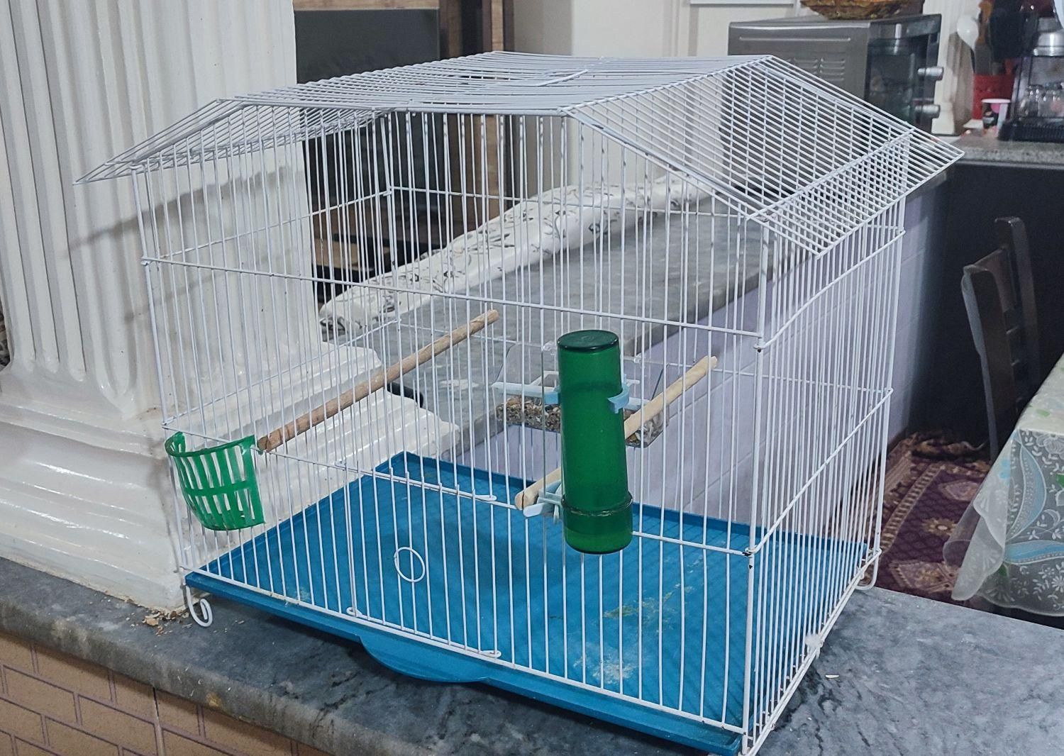 قفس بزرگ|لوازم جانبی حیوانات|دوگنبدان, |دیوار