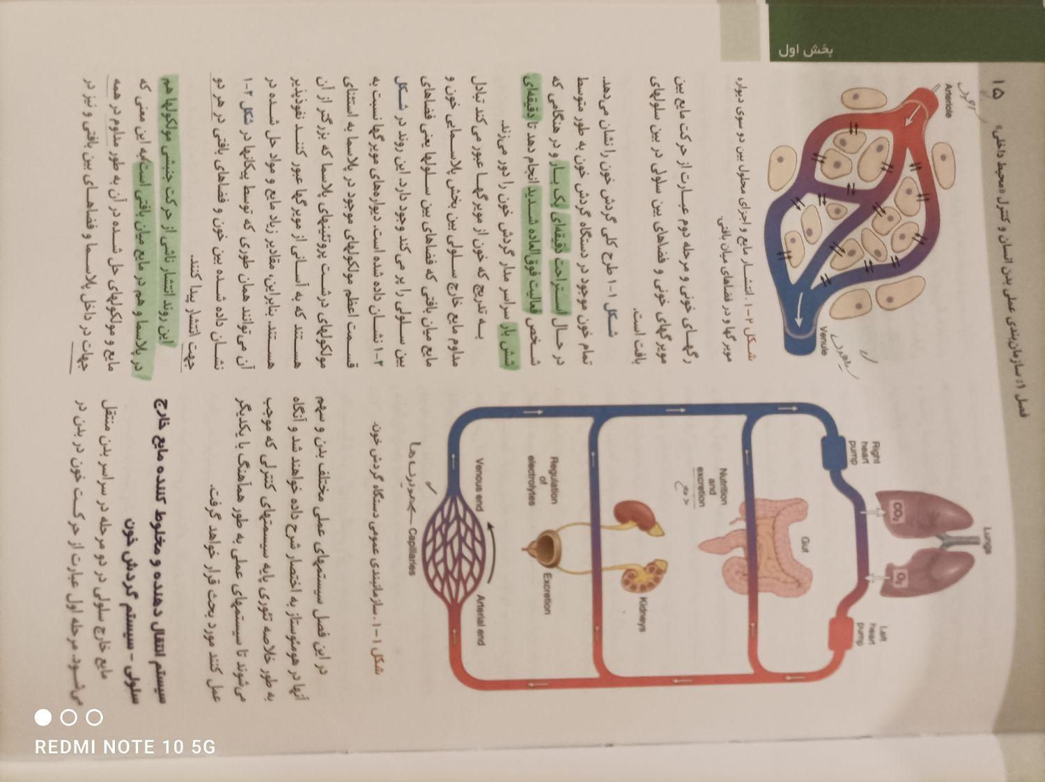 فیزیولوژی گایتون و هال|کتاب و مجله آموزشی|تهران, خواجه نظام الملک|دیوار