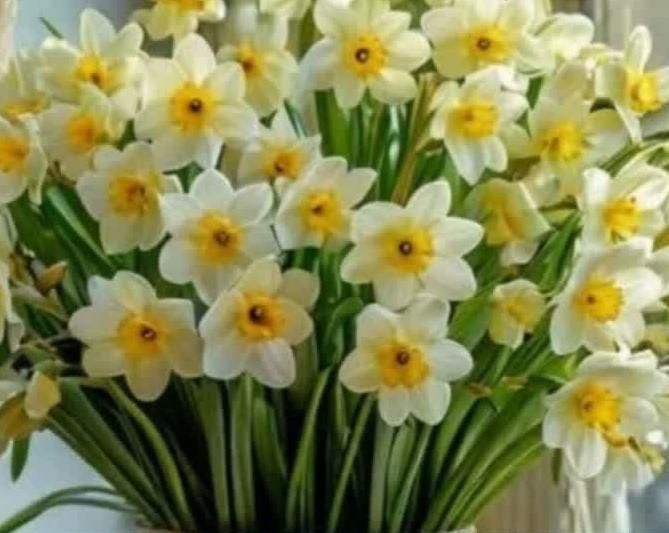 راهنمایی بفرمایید|فعالیت داوطلبانه|اراک, |دیوار