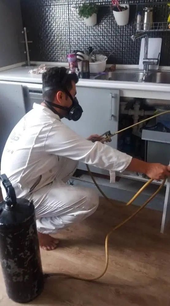 شرکت سمپاشی سوسک ساس موش سم پاشی باضمانت کتبی|خدمات نظافت|تهران, سعادت‌آباد|دیوار