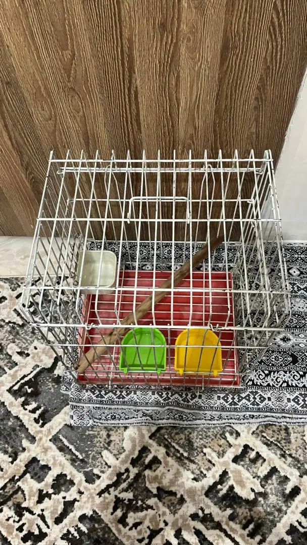 قفس پرنده مناسب طوطی مرغ مینا عروس هلندی|لوازم جانبی حیوانات|تهران, هفت چنار|دیوار