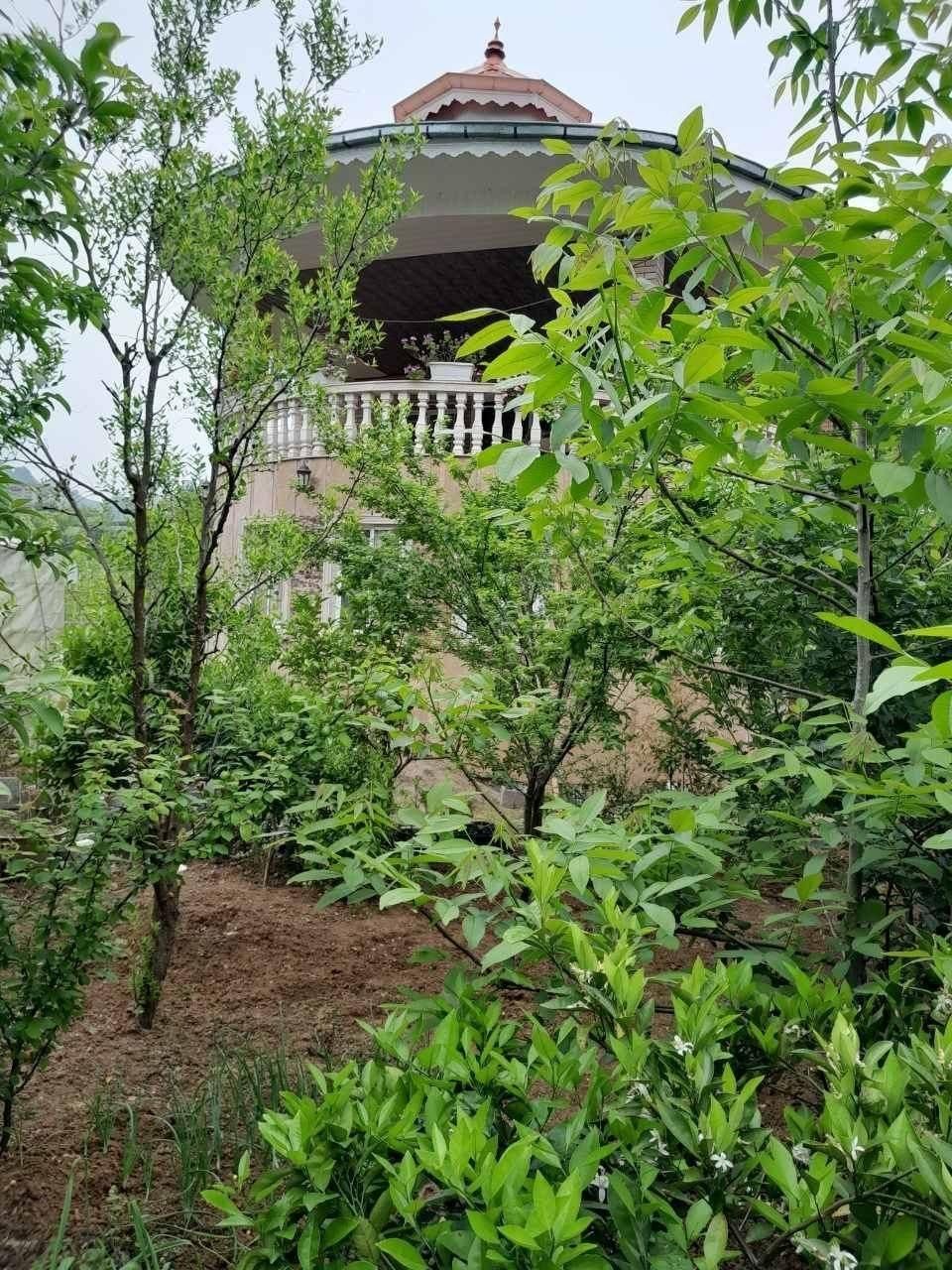 اجاره کوتاه مدت ویلای کته شال|اجارهٔ کوتاه‌مدت ویلا و باغ|لاهیجان, یحی آباد|دیوار