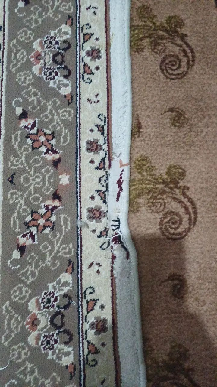قالیچه|فرش|مشهد, کوی دروی|دیوار
