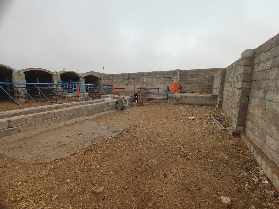 گاوداری دامداری|فروش دفتر صنعتی، کشاورزی، تجاری|شهرضا, |دیوار