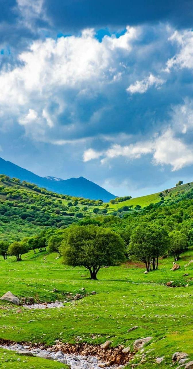 آموزش زبان انگلیسی|خدمات آموزشی|شهرکرد, |دیوار