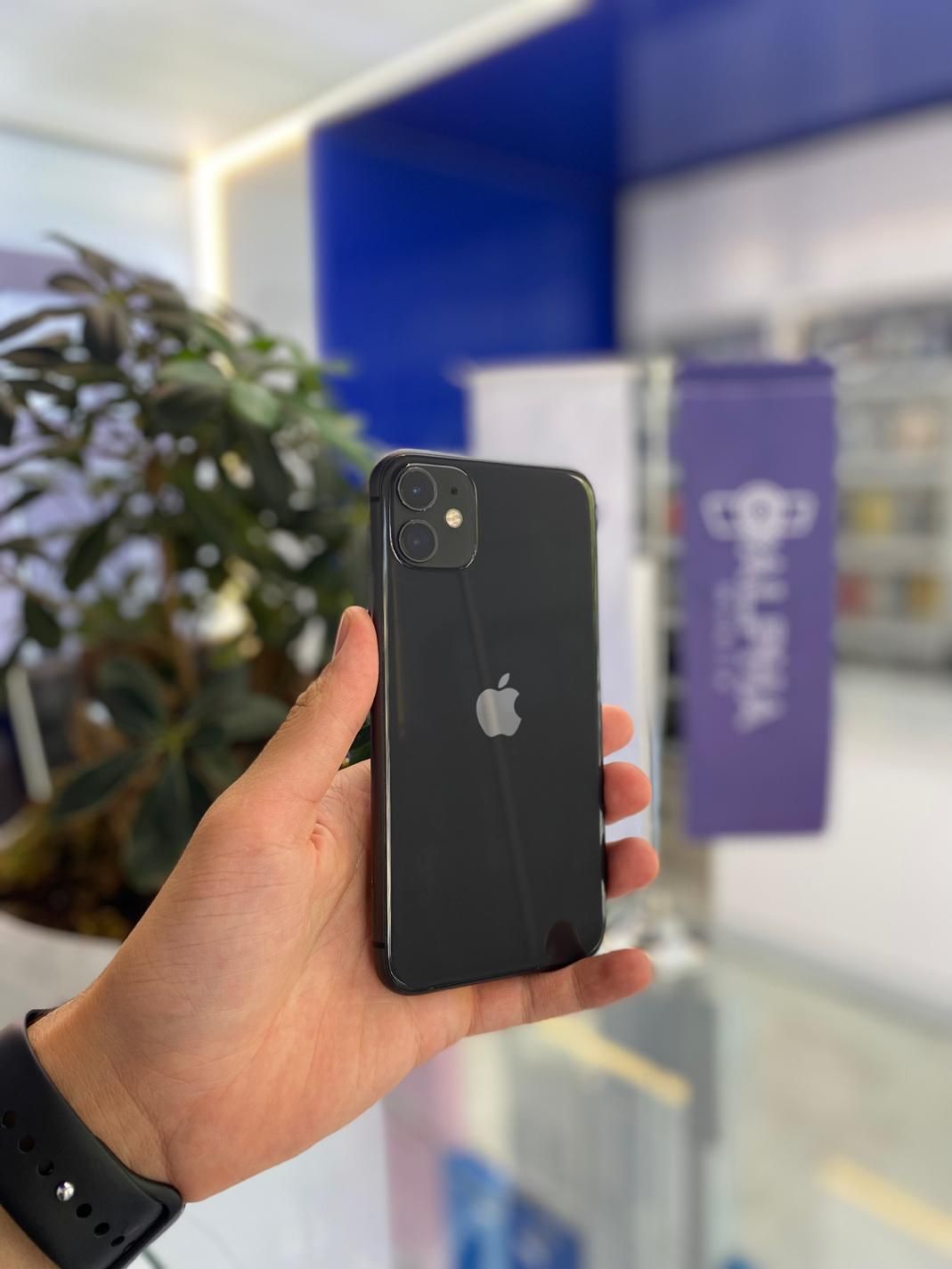 اپل iPhone 11 با حافظهٔ ۱۲۸ گیگابایت باتری ۱۰۰|موبایل|سبزوار, پاسداران|دیوار