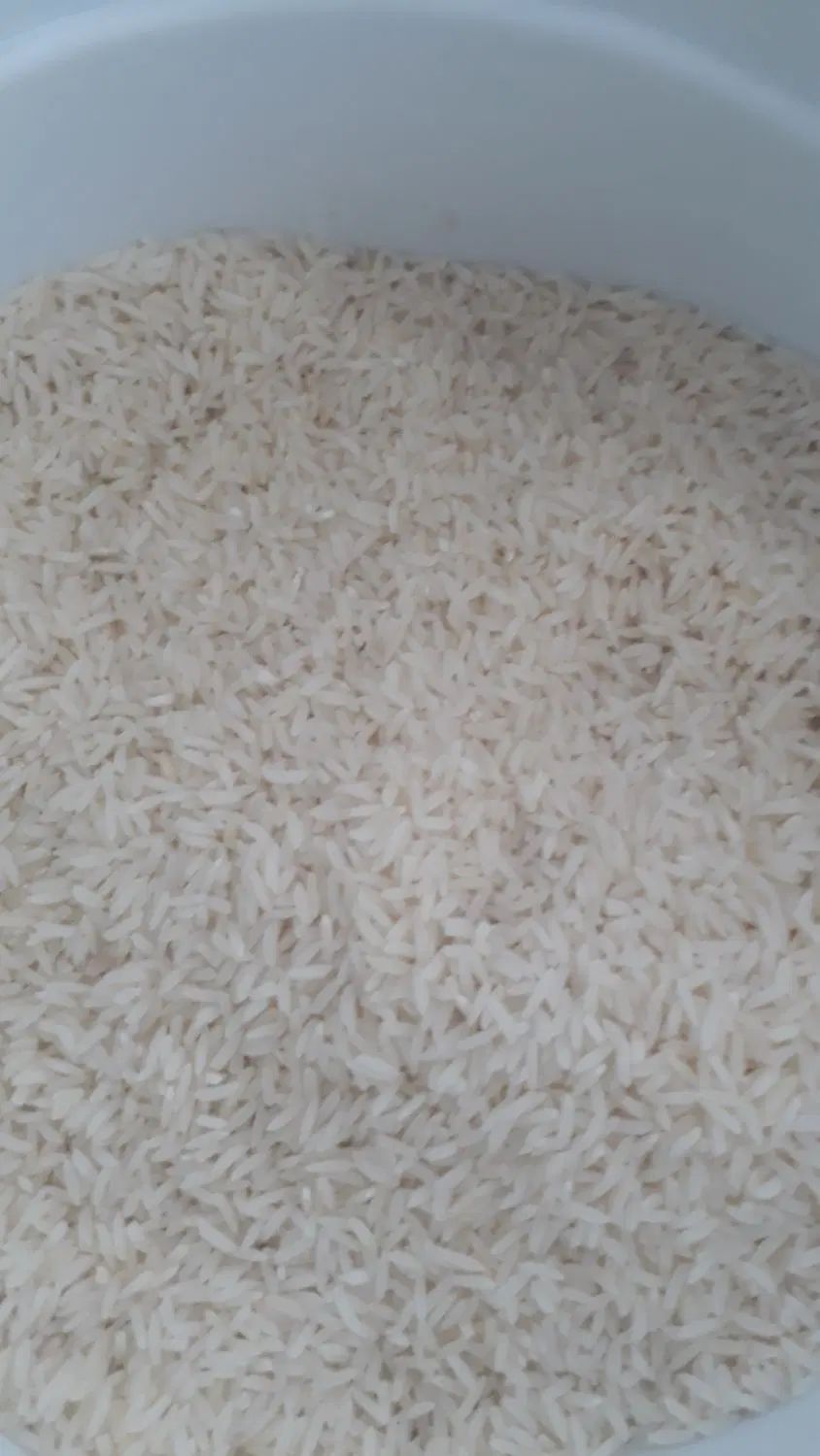 برنج طارم اعلا مستقیم از کشاورز|خوردنی و آشامیدنی|تهران, حکمت|دیوار