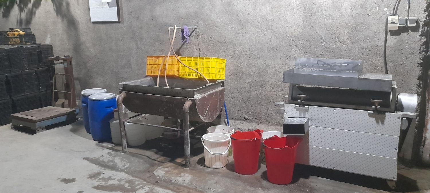 فروش گوجه درجه یک ابگیری گوجه|خوردنی و آشامیدنی|مشهد, اروند (کشف)|دیوار