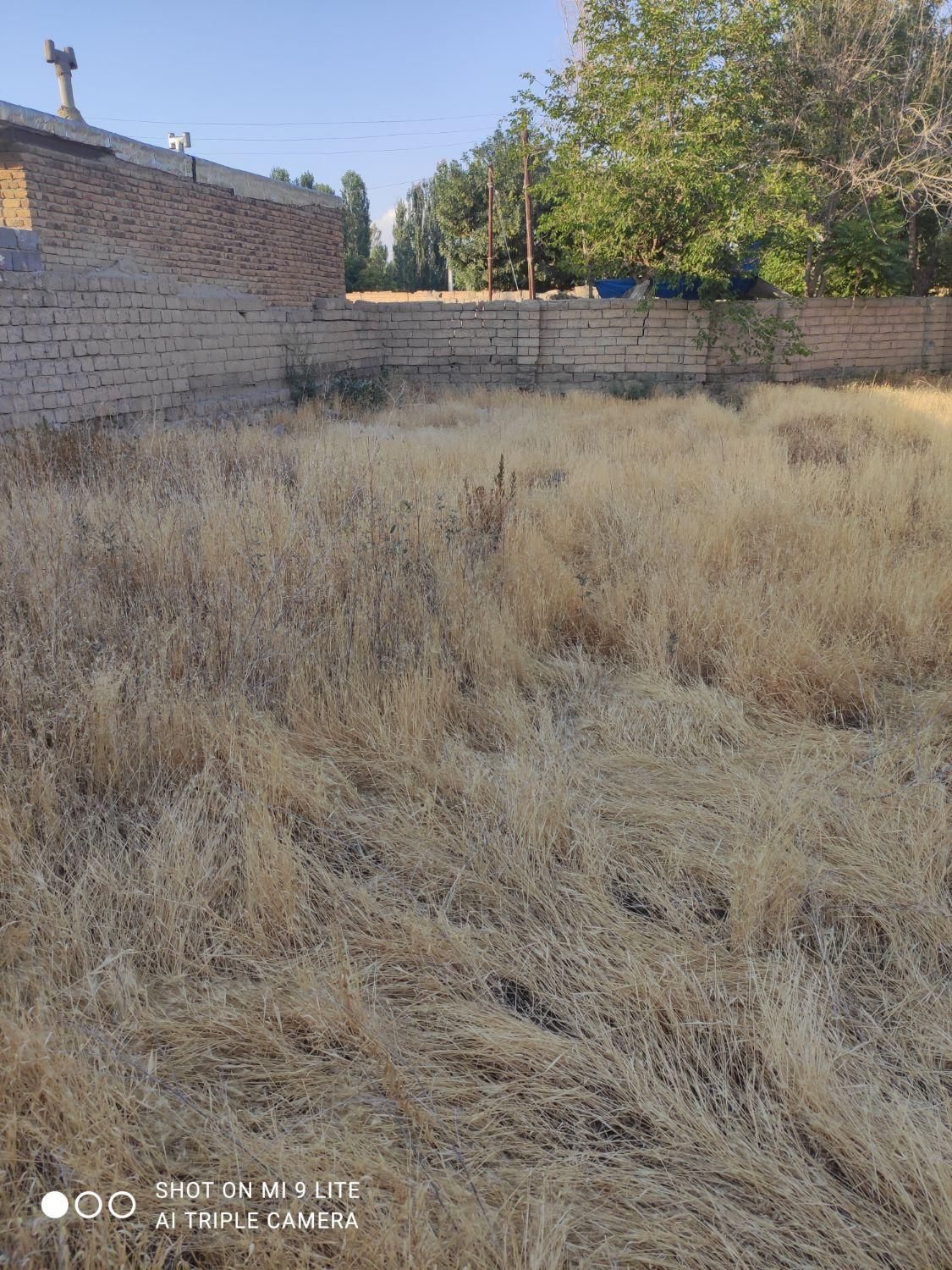 زمین روستایی 400 متر داخل طرح هادی در قره بغلو|فروش زمین و ملک کلنگی|ارومیه, |دیوار