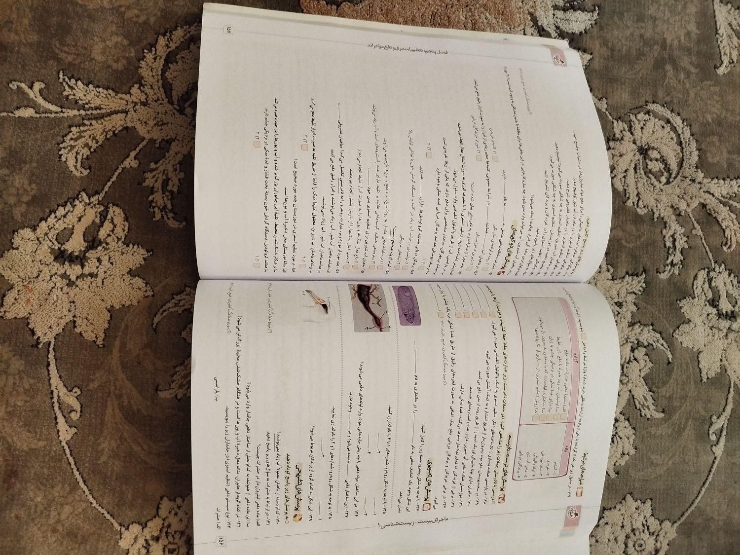 کتاب کمک درسی گاج و خیلی سبز|کتاب و مجله آموزشی|صباشهر, |دیوار