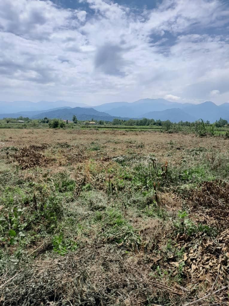 زمین مسکونی ، در منطقه کوهپایه ای  ،|فروش زمین و ملک کلنگی|گوراب زرمیخ, |دیوار