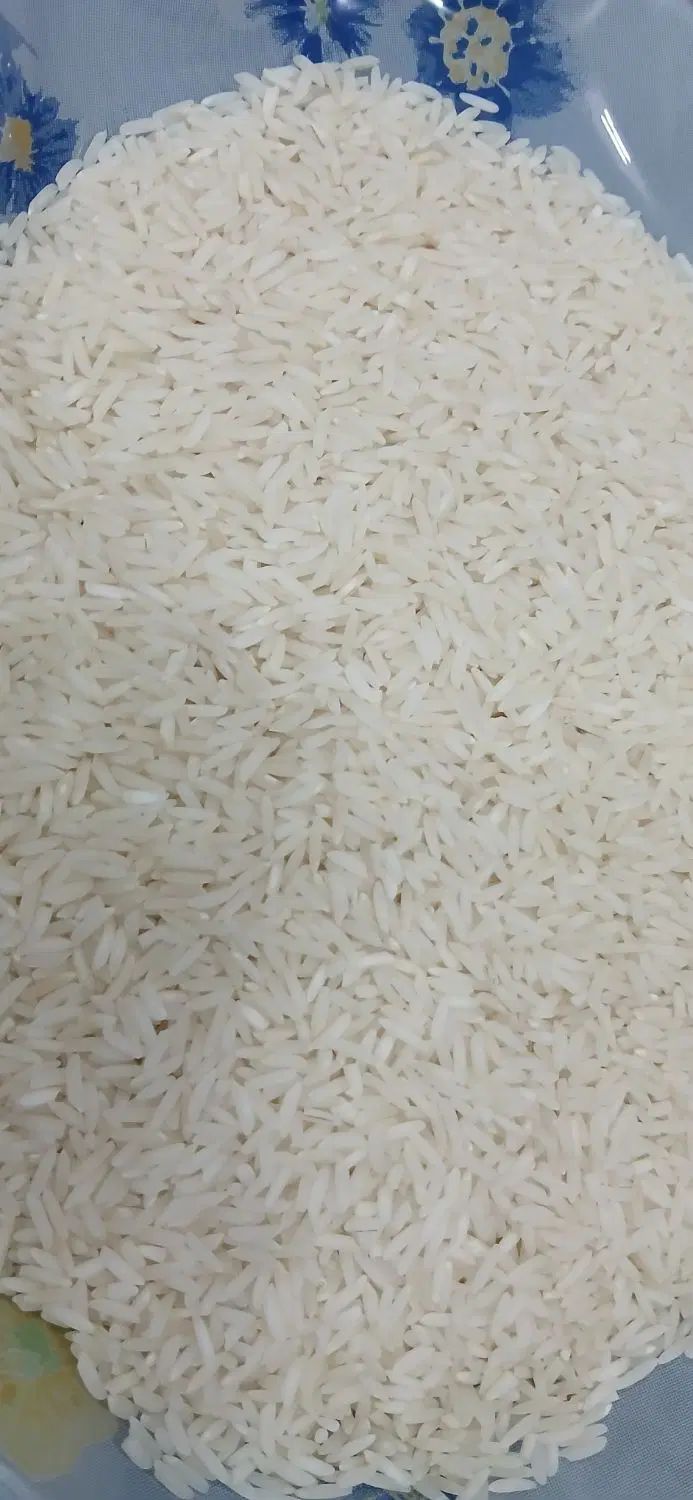 برنج هاشمی درجه|خوردنی و آشامیدنی|رشت, پل تالشان|دیوار