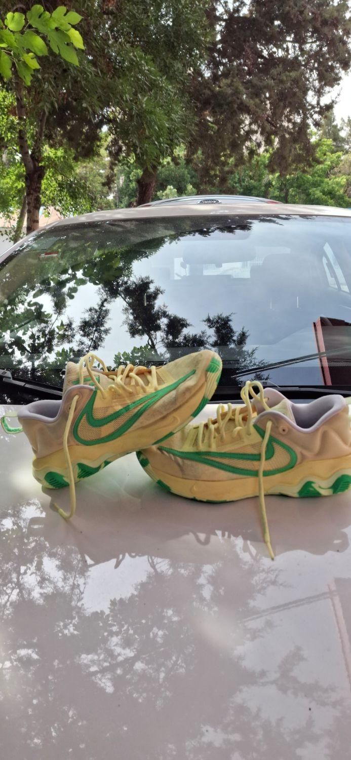 کفش والیبال و بسکتبال برند nike مدل giannis|کیف، کفش، کمربند|مشهد, بهارستان|دیوار