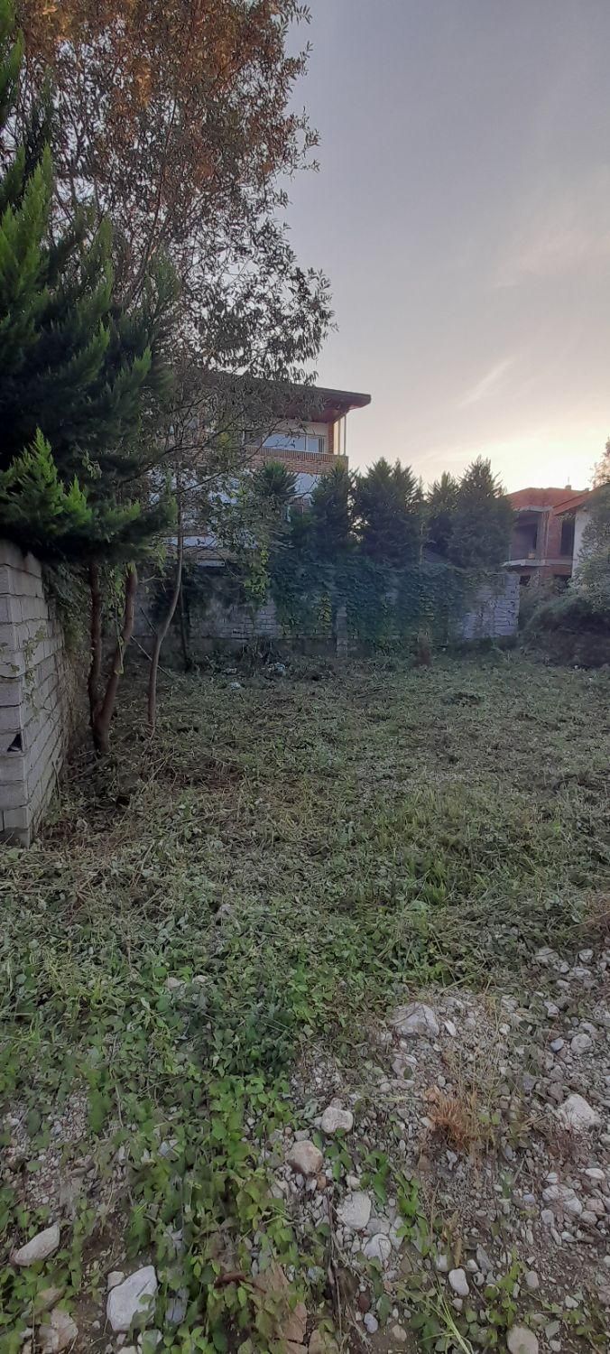 علف تراشی با دستگاه|خدمات باغبانی و درختکاری|نوشهر, |دیوار