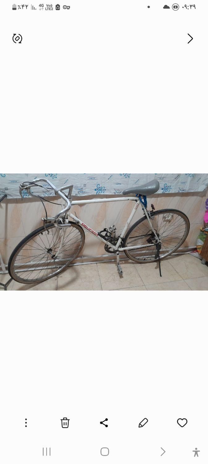 فروش دوچرخه|دوچرخه، اسکیت، اسکوتر|ملارد, |دیوار