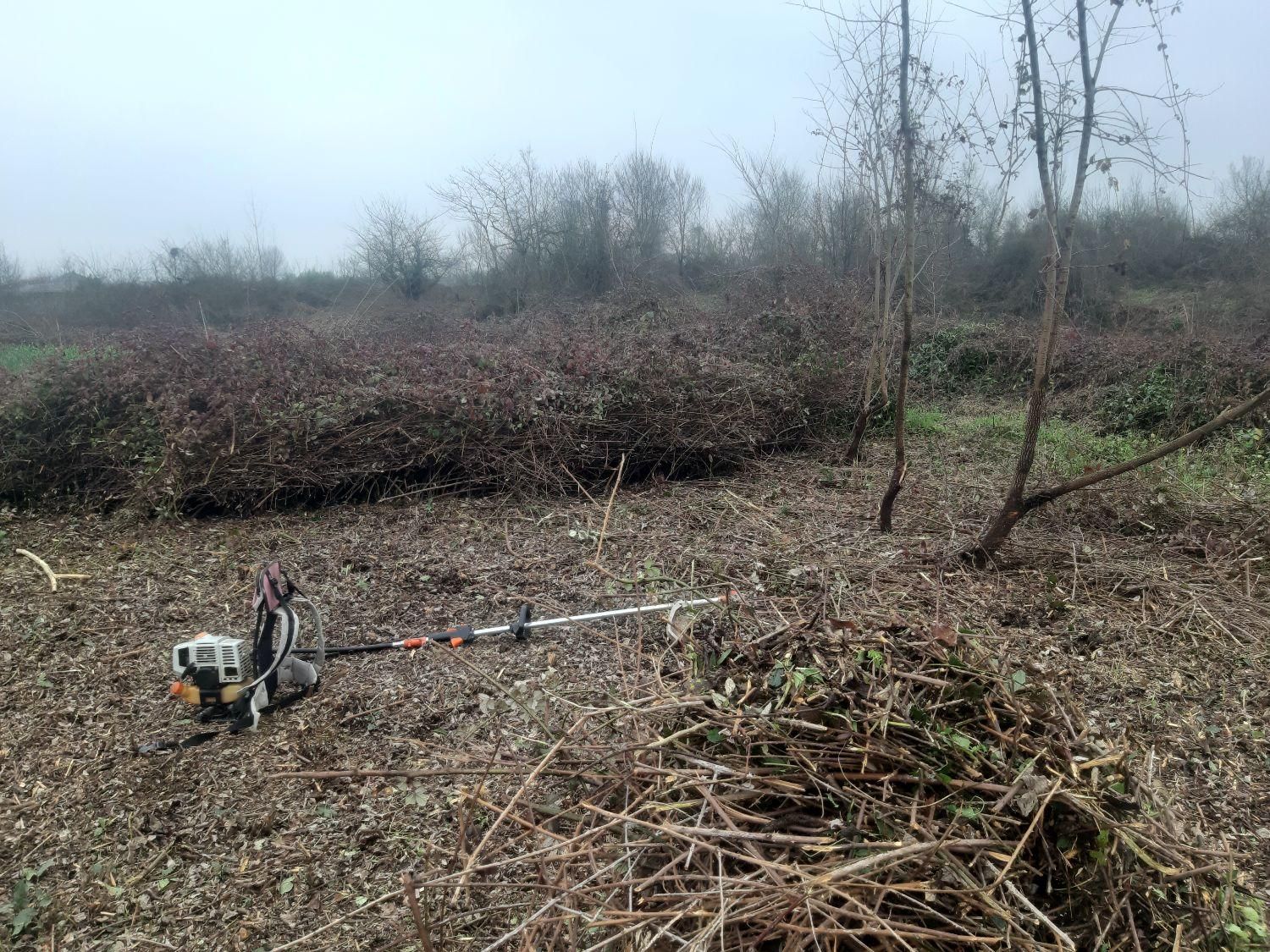 هرس علف های هرز و قطع درخت|خدمات باغبانی و درختکاری|فومن, |دیوار