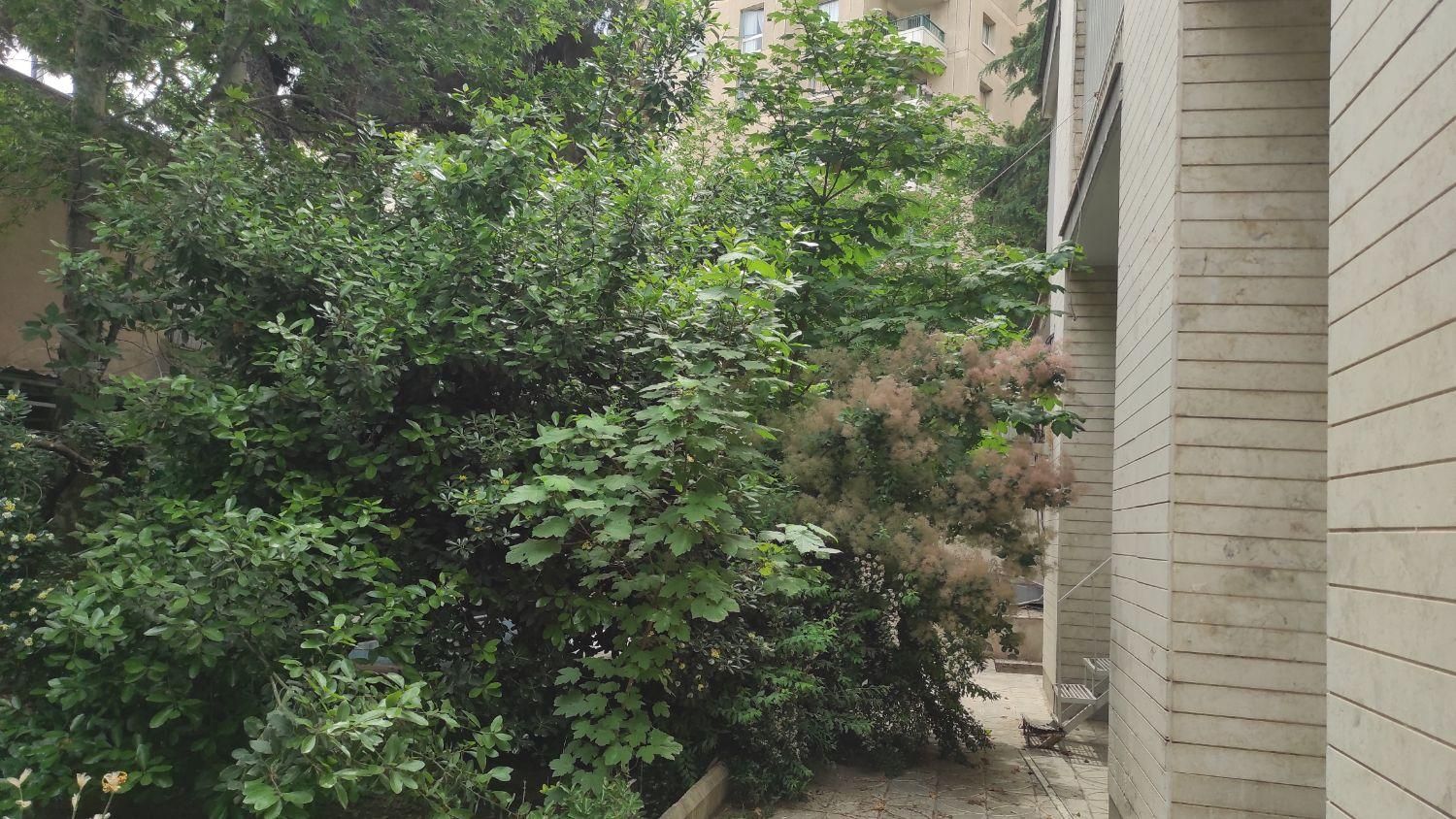 نیاوران ۲۱۰ متر ۲ طبقه بنا|فروش زمین و ملک کلنگی|تهران,  امام زاده قاسم (نیاوران)|دیوار