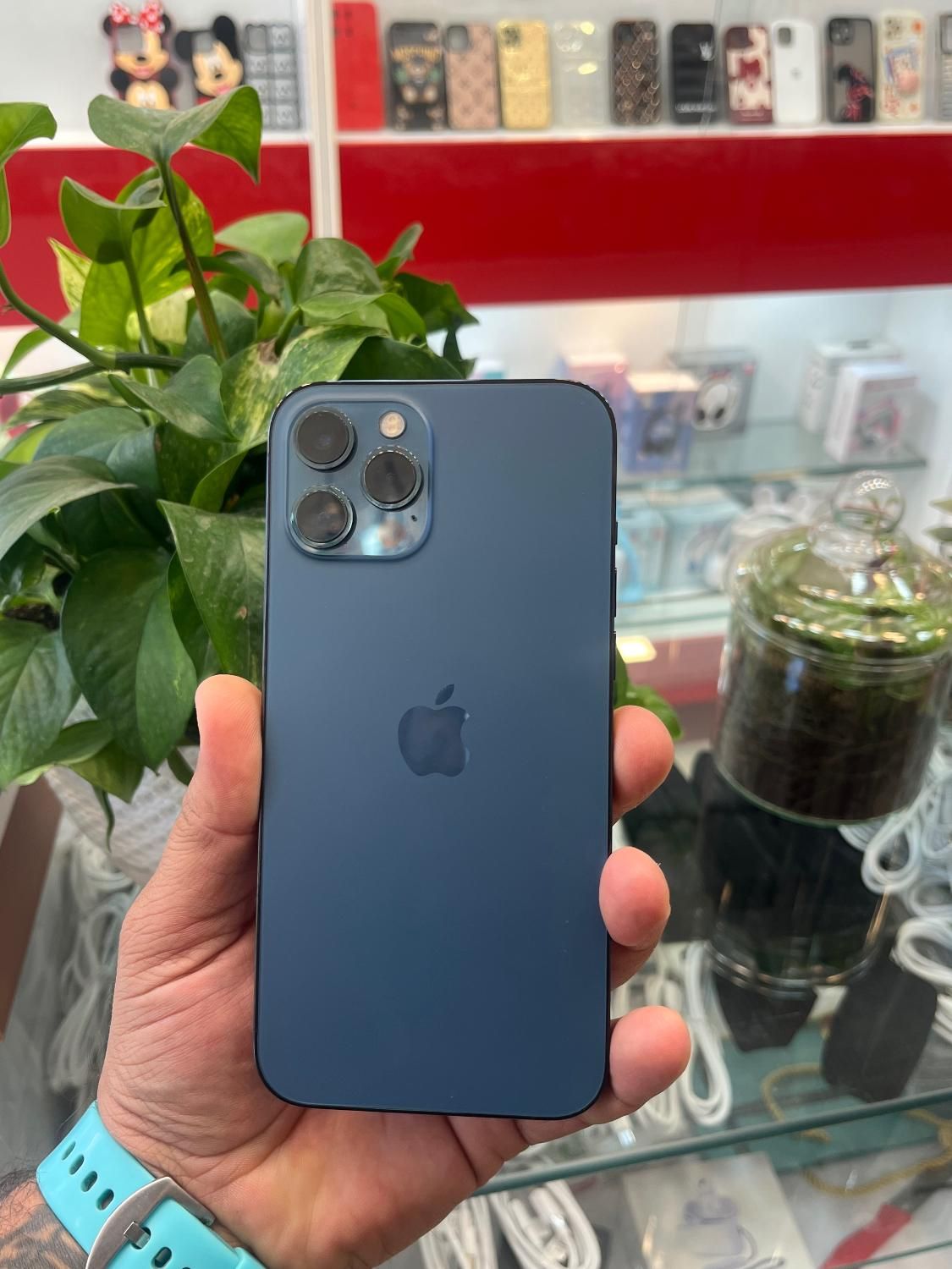 Iphone 12promax LLA|موبایل|شیراز, زند|دیوار