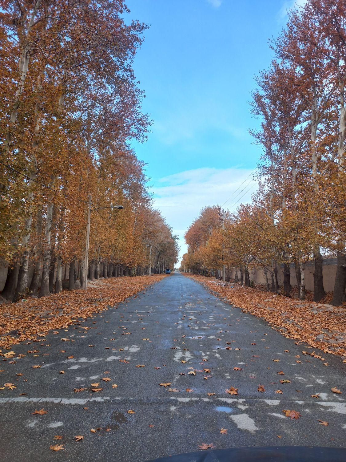 باغ ۳۴۰ متری چهاردیوار سنددار یکساله|فروش خانه و ویلا|شهریار, کرد امیر|دیوار